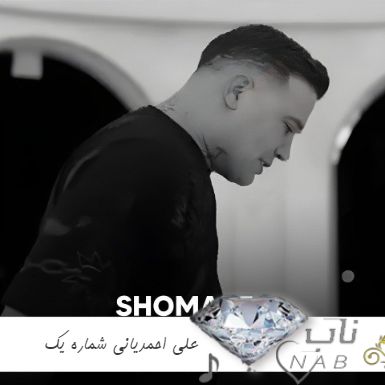دانلود آهنگ درخت پیری شدم ریشه خشکیده غم ریمیکس علی احمدیانی دانلود آهنگ درخت پیری شدم ریشه خشکیده غم ریمیکس علی احمدیانی